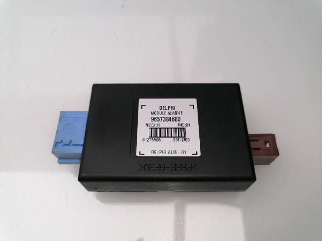 9657384680 Peugeot/Citroen
