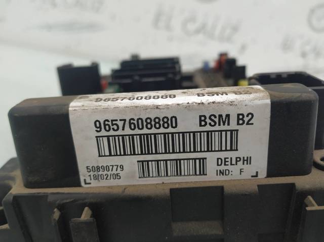 9657608880 Peugeot/Citroen