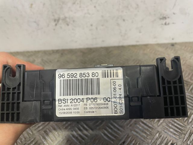 9659285380 Peugeot/Citroen