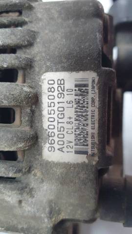 9660055080 Peugeot/Citroen