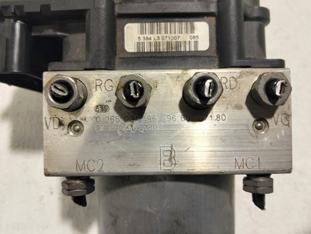 9660107180 Peugeot/Citroen