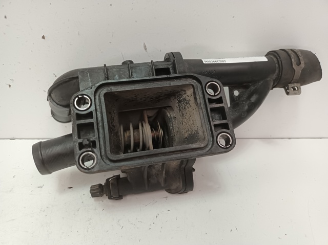 9660660380 Peugeot/Citroen
