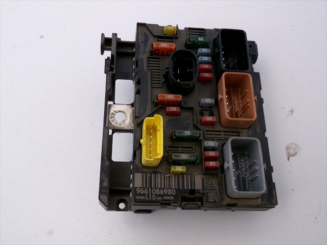 9661086980 Peugeot/Citroen