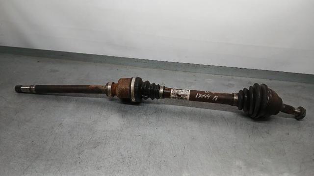 9661107480 Peugeot/Citroen