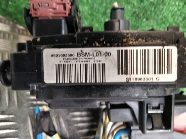 9661682580 Peugeot/Citroen