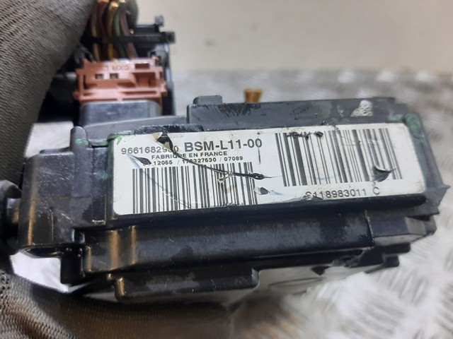 9661682980 Peugeot/Citroen
