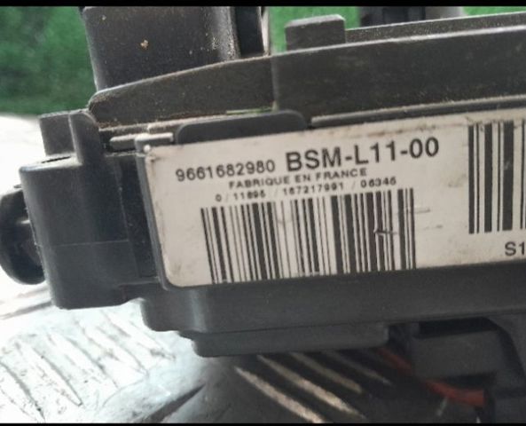 9661682980 Peugeot/Citroen
