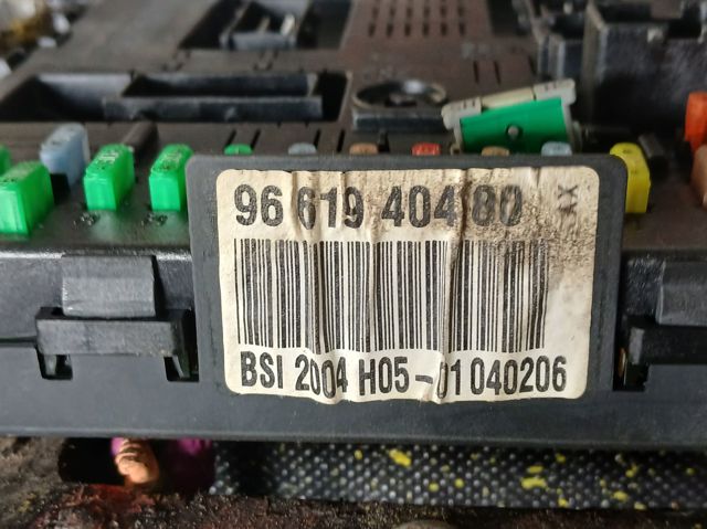 9661940480 Peugeot/Citroen
