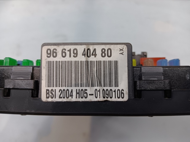 9661940480 Peugeot/Citroen
