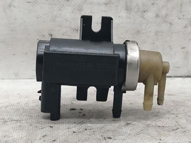 9661960380 Peugeot/Citroen