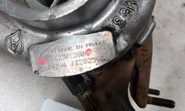 9662301280 Peugeot/Citroen