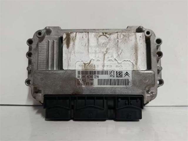 9662307380 Peugeot/Citroen