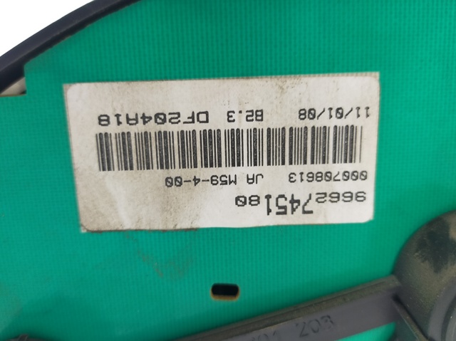 9662745180 Peugeot/Citroen