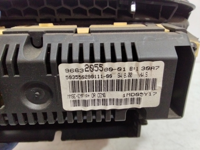 9663205580 Peugeot/Citroen