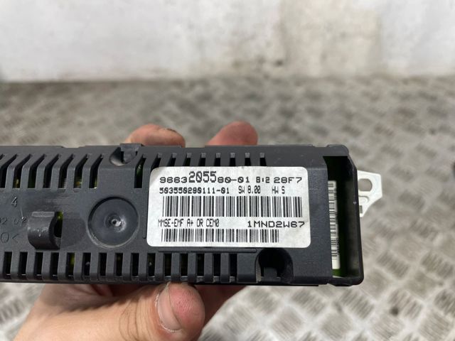 9663205580 Peugeot/Citroen