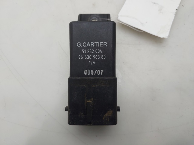 9663696380 Peugeot/Citroen