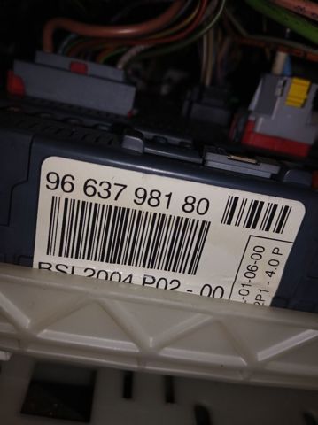 9663798180 Peugeot/Citroen