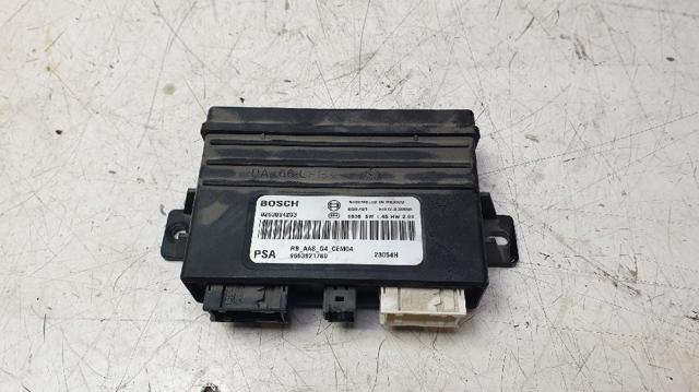 9663821780 Peugeot/Citroen
