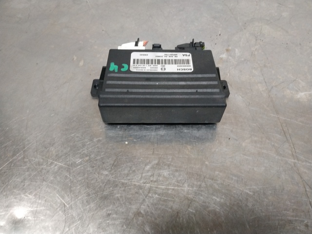 9663821780 Peugeot/Citroen