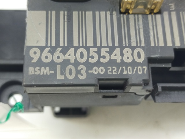 9664055480 Peugeot/Citroen