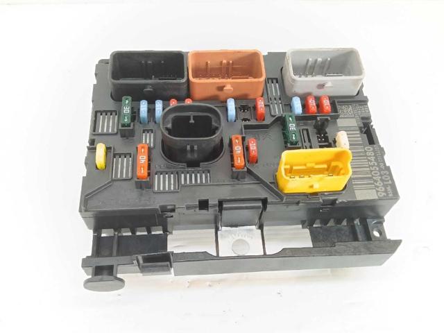 9664055480 Peugeot/Citroen