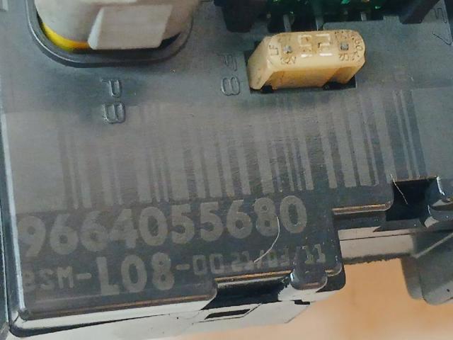 9664055680 Peugeot/Citroen