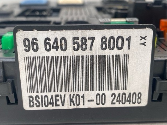 966405878001 Peugeot/Citroen