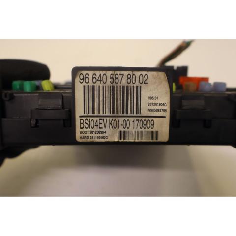966405878002 Peugeot/Citroen