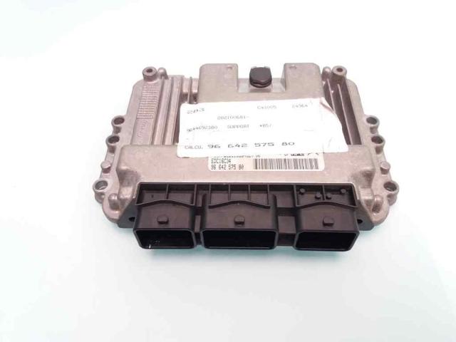9664257580 Peugeot/Citroen
