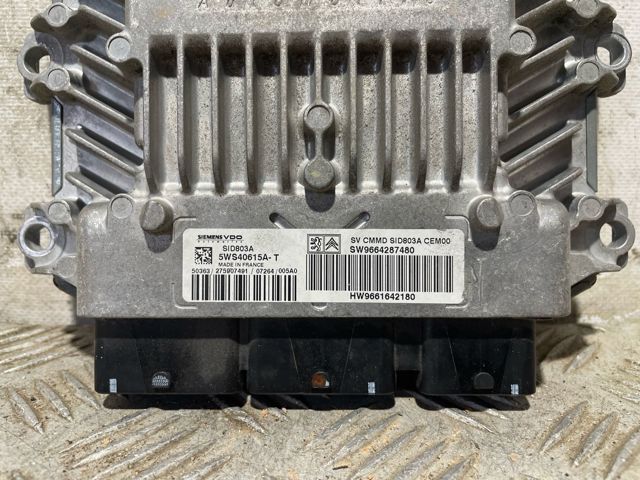 9664287480 Peugeot/Citroen
