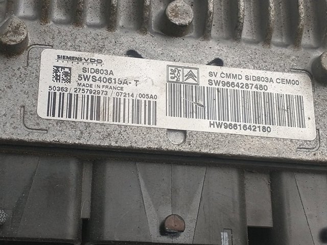 9664287480 Peugeot/Citroen