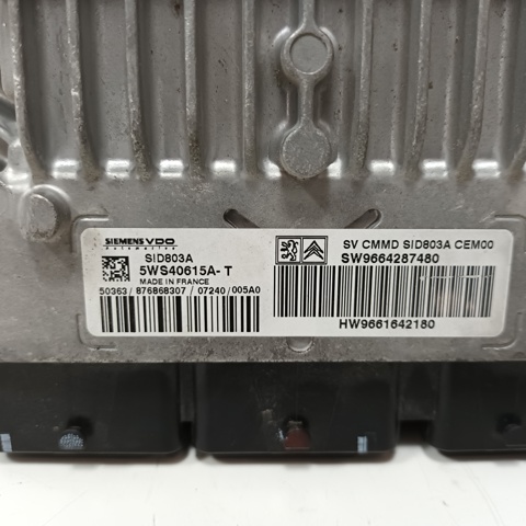 9664287480 Peugeot/Citroen