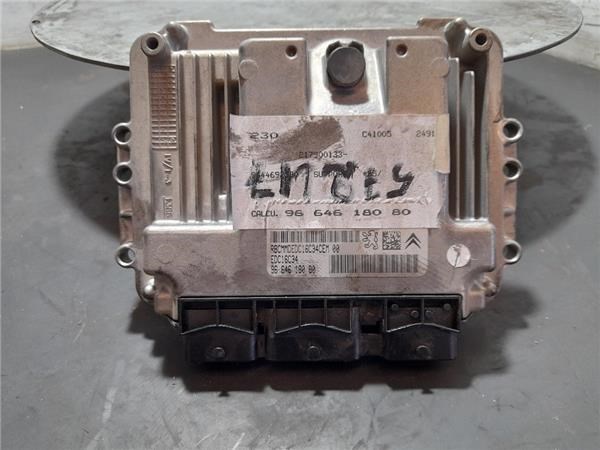 9664618080 Peugeot/Citroen