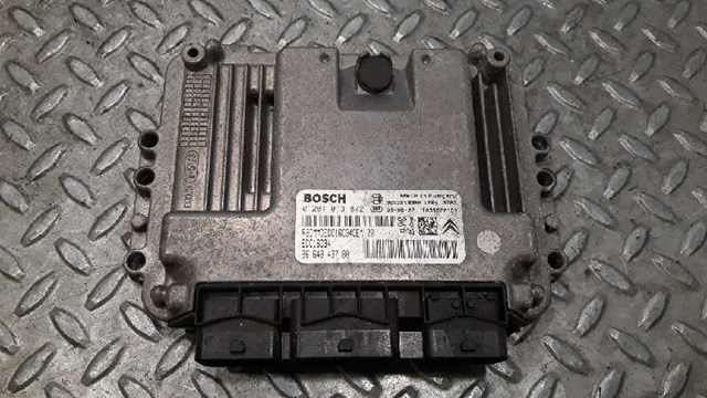 9664843780 Peugeot/Citroen