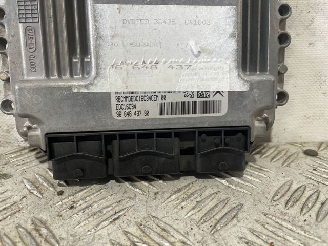 9664843780 Peugeot/Citroen