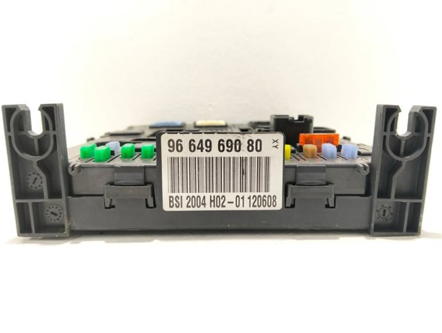 9664969080 Peugeot/Citroen