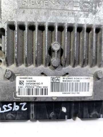 9665100380 Peugeot/Citroen