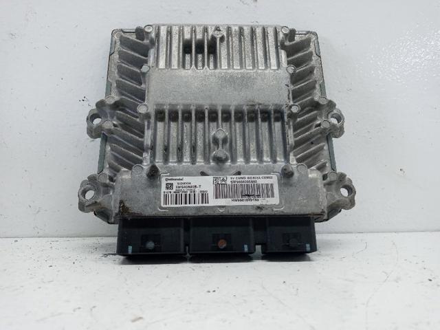 9666095880 Peugeot/Citroen