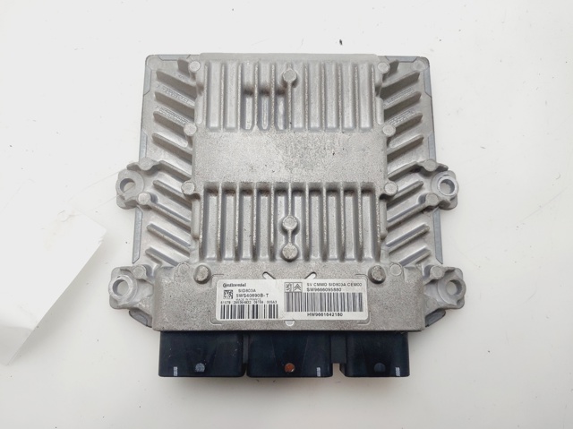 9666095880 Peugeot/Citroen