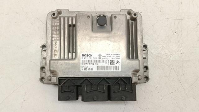 9666235880 Peugeot/Citroen