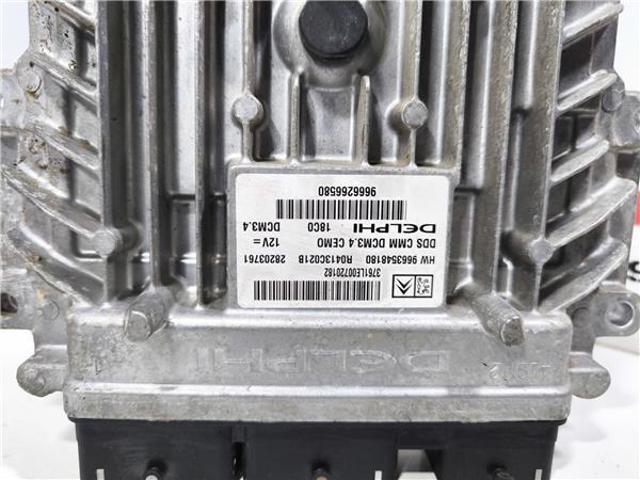 9666266580 Peugeot/Citroen