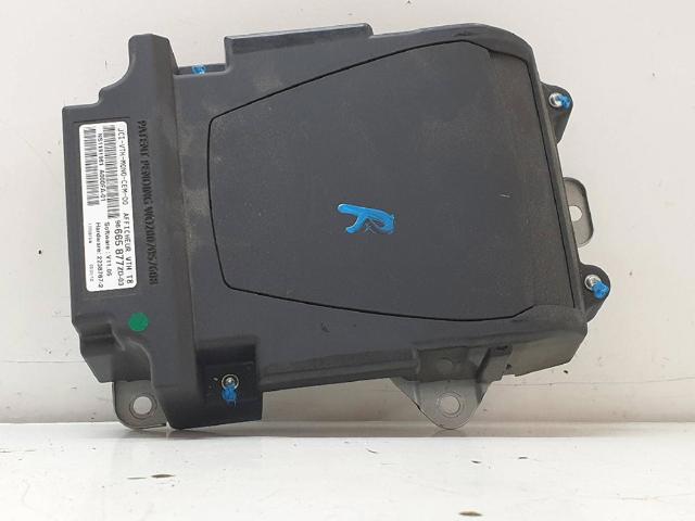 96665877ZD Peugeot/Citroen