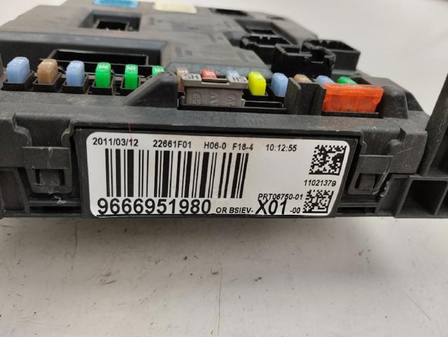 9666951980 Peugeot/Citroen