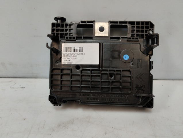 9667199580 Peugeot/Citroen