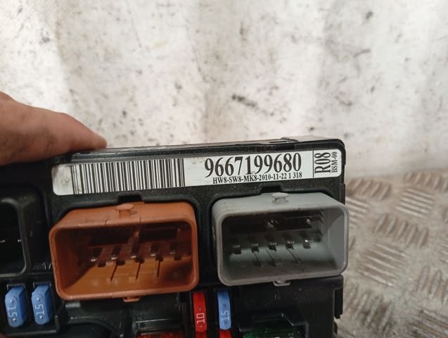 9667199680 Peugeot/Citroen