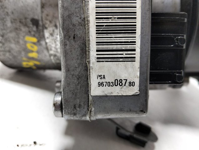 9670308780 Peugeot/Citroen