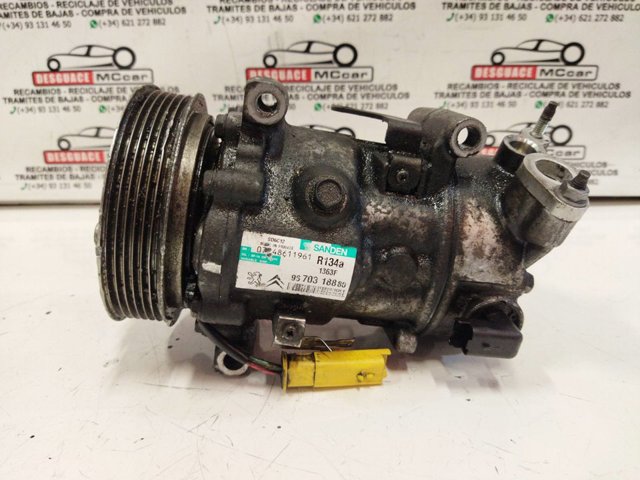 9670318880 Peugeot/Citroen