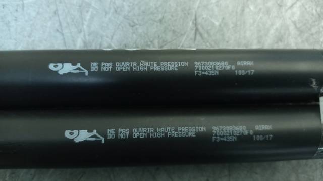 Amortecedor de tampa de porta-malas (de 3ª/5ª porta traseira) 9673083680 PEUGEOT