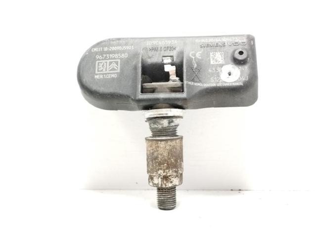 9673198580 Peugeot/Citroen