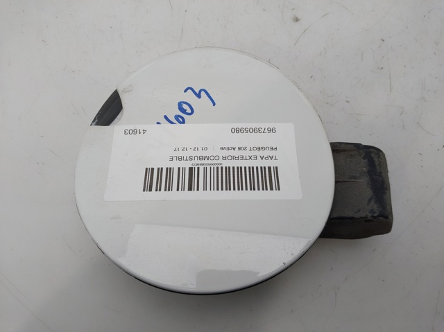 9673905980 Peugeot/Citroen